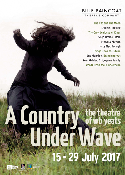 A Country Under Wave poster